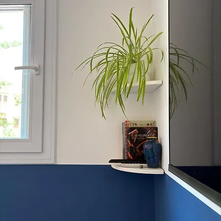 Nest - Family House *